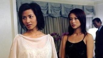 偷窥无罪在线观看奇奇,奇奇视角下的隐私边界探索