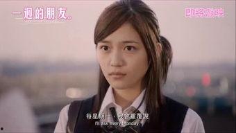 av偶像mp4,MP4中的激情与魅力