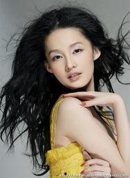 哪些明星是一线,揭秘当红一线明星的璀璨风采