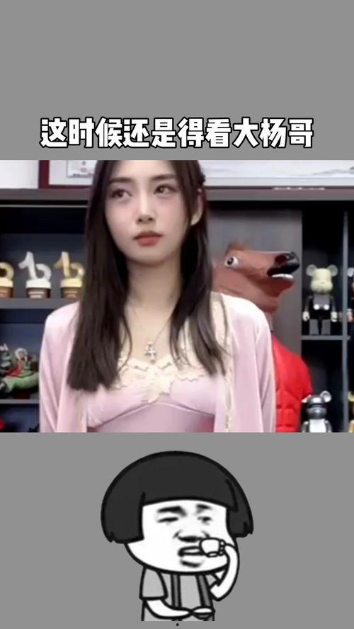 大杨哥爆料低价视频,低价视频背后的惊人内幕