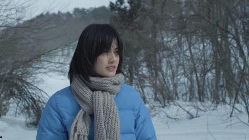 小森林冬春篇在线观看,冬日暖阳，春意盎然，共赴自然之旅