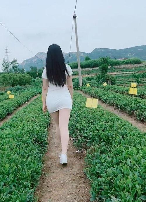 农村丝袜女小说,农村女子的秘密情缘